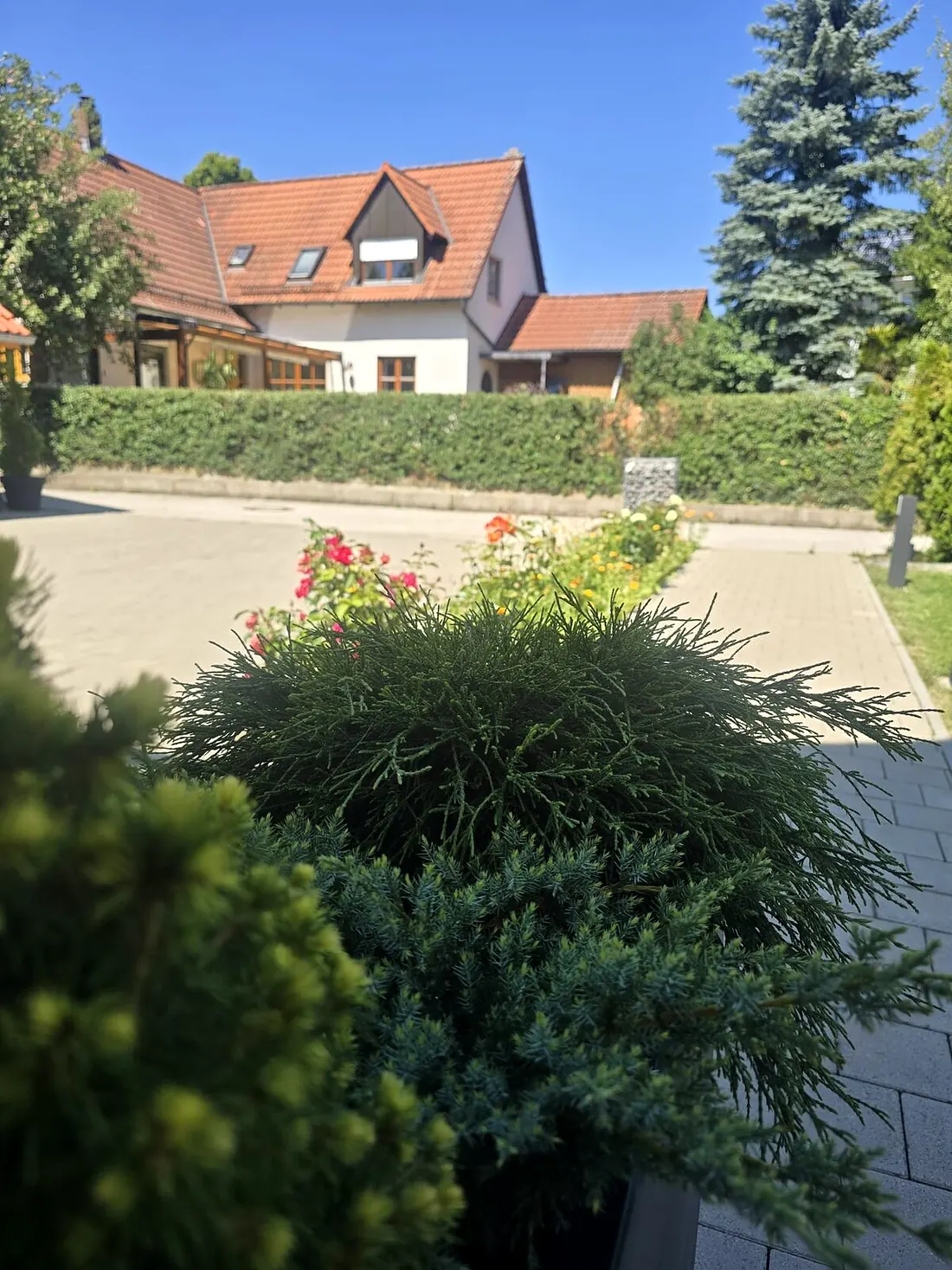 Grüne Landschaft der Oberpfalz rund um das Ferienhaus